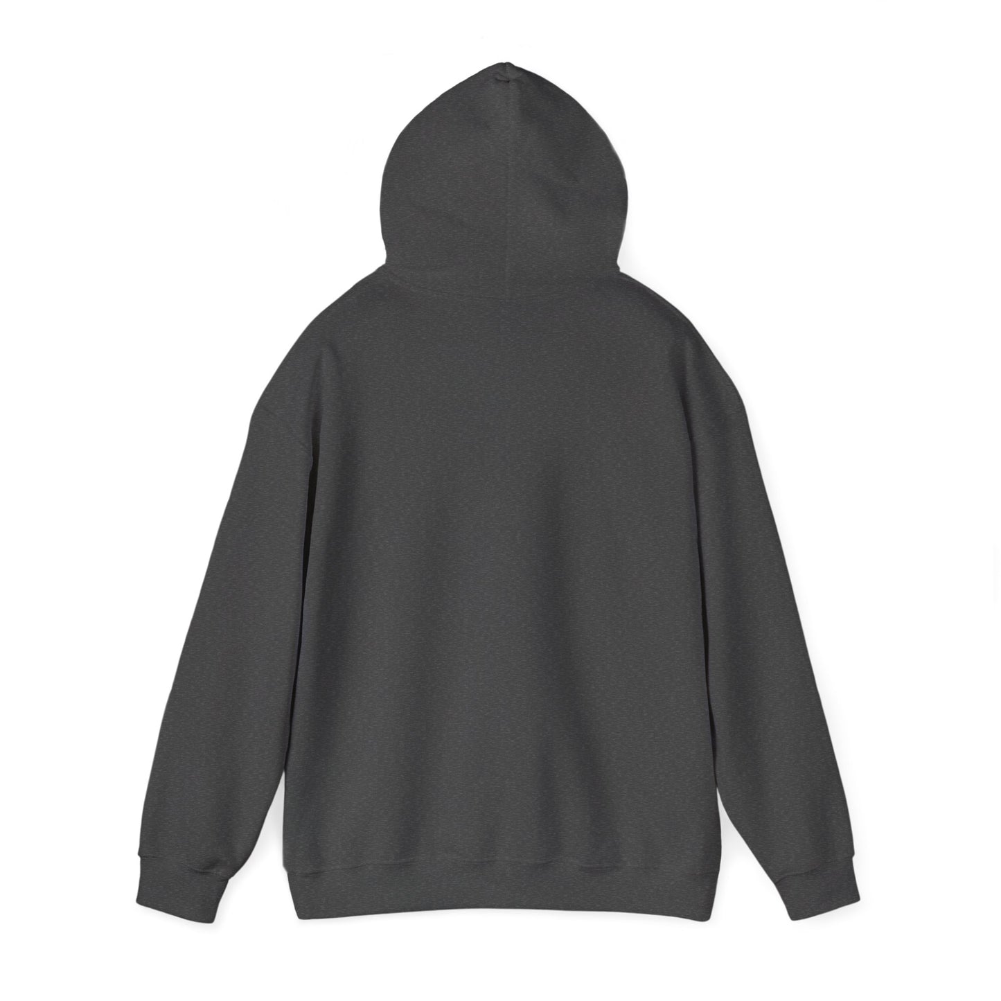 Love Life Clean & Sober Recovery Hoodie